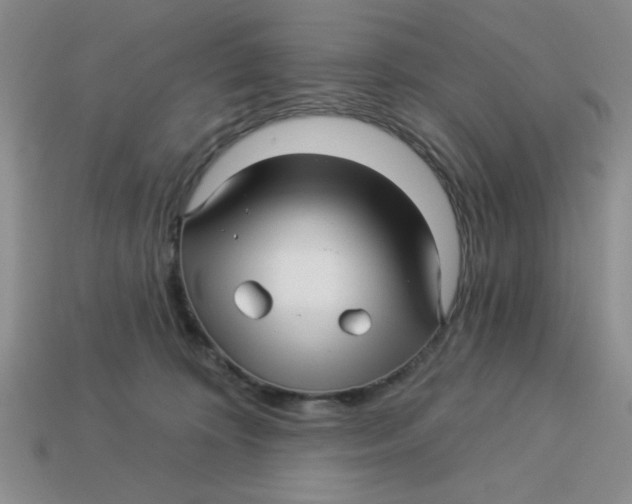 X0000113340324200910131224