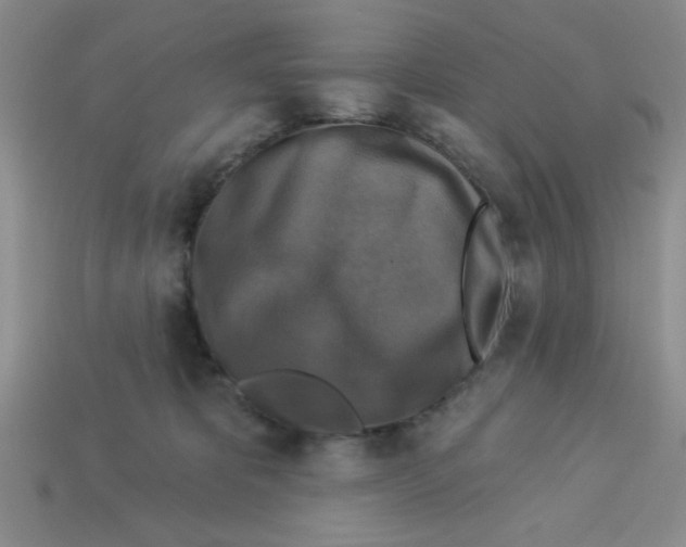X0000113340325200910131224