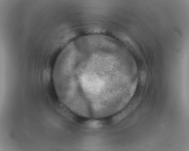 X0000113340326200910131224