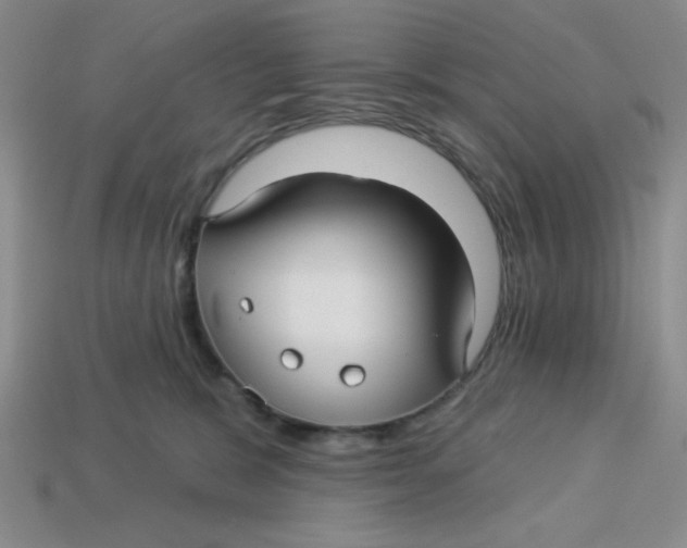 X0000113340327200910131224