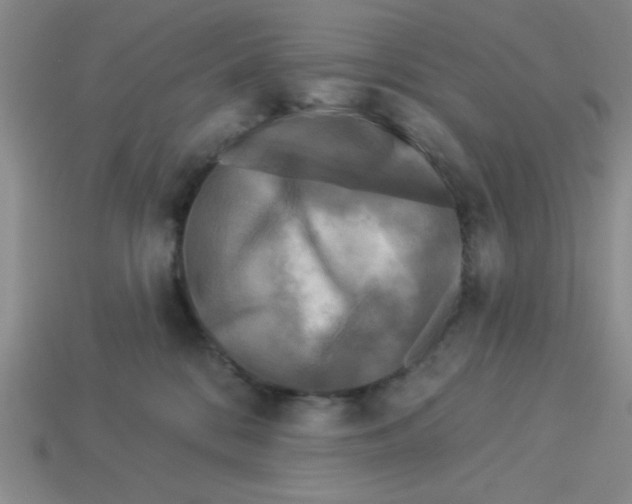 X0000113340328200910131224