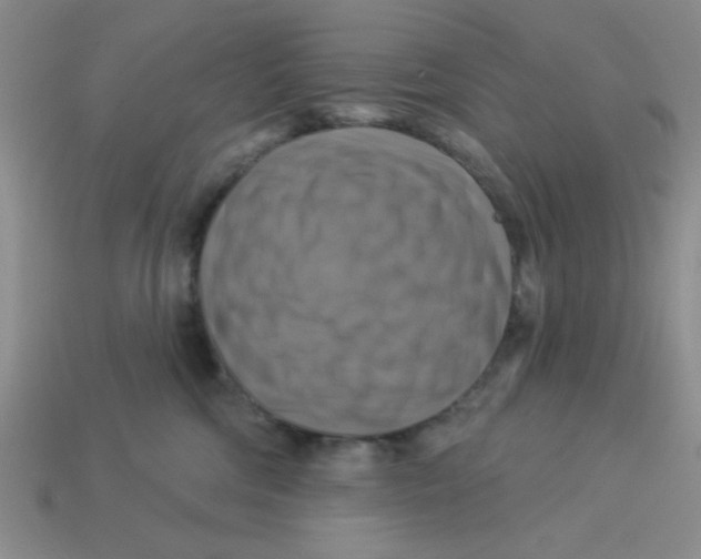 X0000113340330200910131224