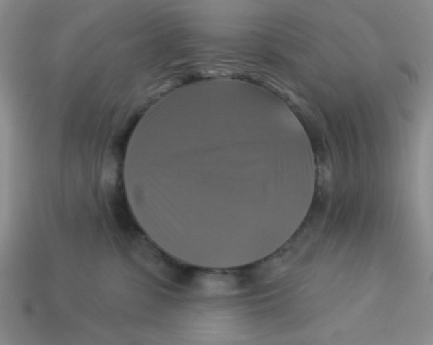 X0000113340331200910131224