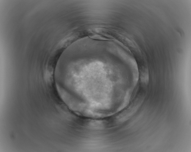 X0000113340332200910131224