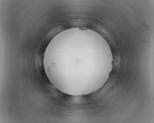 X0000113340333200910131224