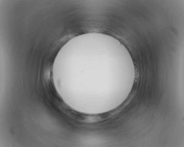 X0000113340334200910131224