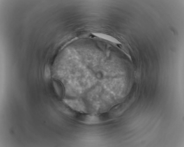 X0000113340335200910131224