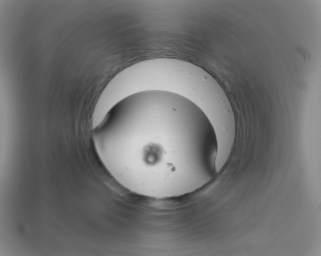 X0000113340336200910131224