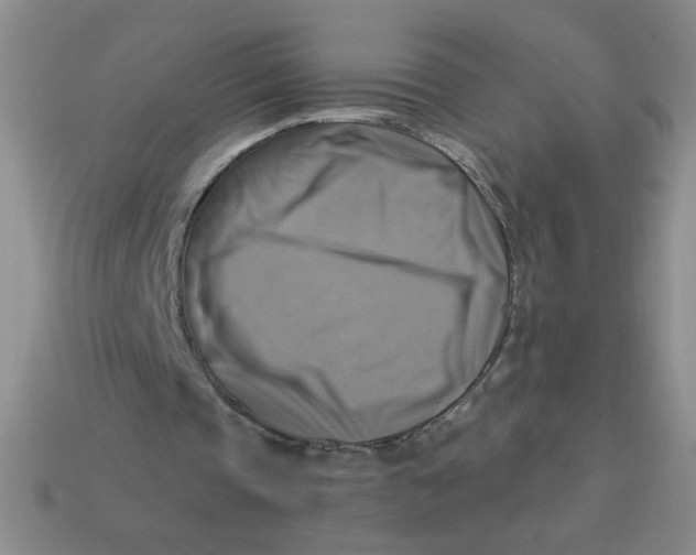 X0000113340337200910131223