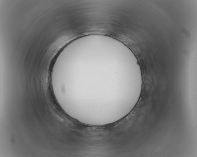X0000113340338200910131223