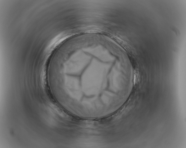 X0000113340339200910131223