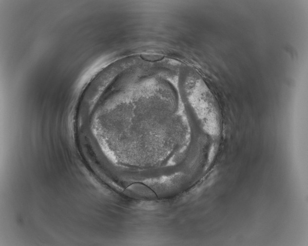 X0000113340341200910131223