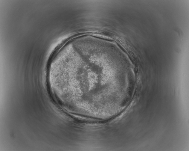 X0000113340342200910131223