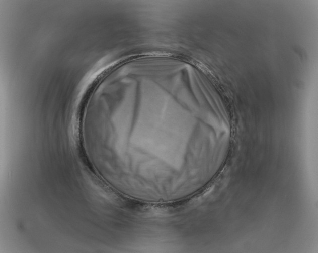 X0000113340343200910131223