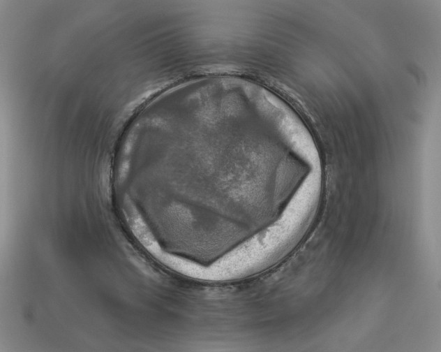 X0000113340345200910131223