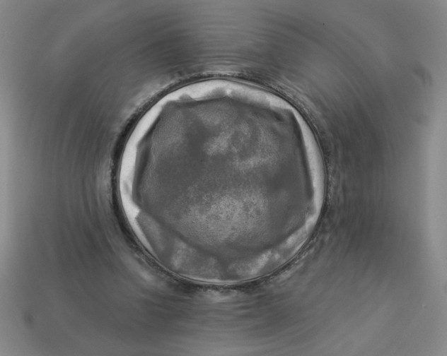 X0000113340346200910131223