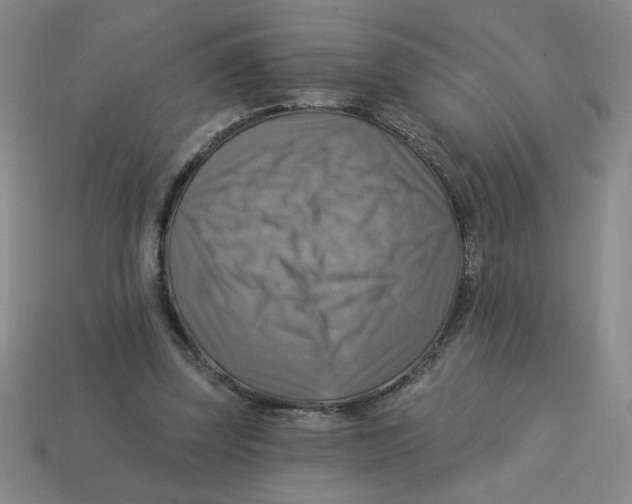 X0000113340347200910131223