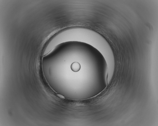 X0000113340348200910131223