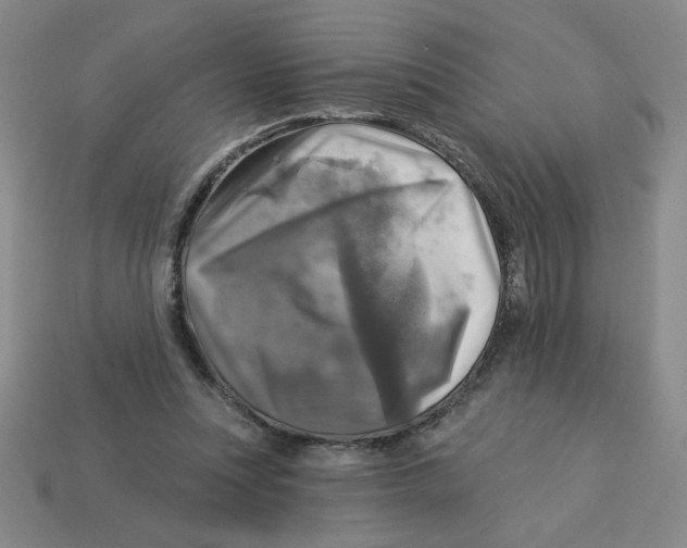 X0000113340351200910131223