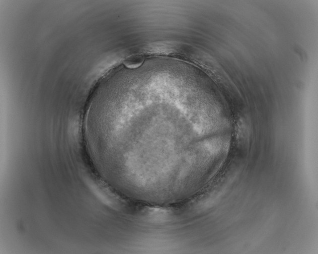 X0000113340352200910131223