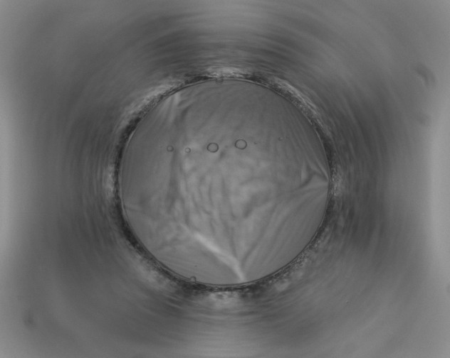 X0000113340353200910131223
