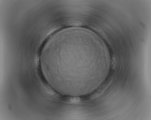 X0000113340355200910131223