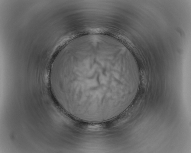 X0000113340357200910131223