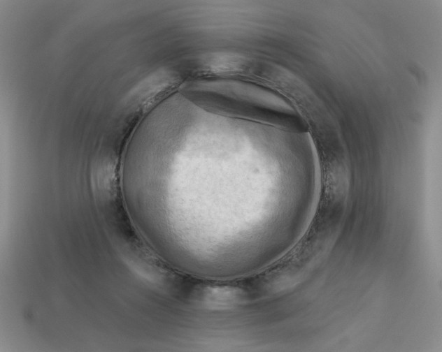 X0000113340360200910131223