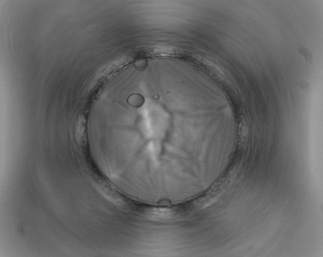 X0000113340361200910131223