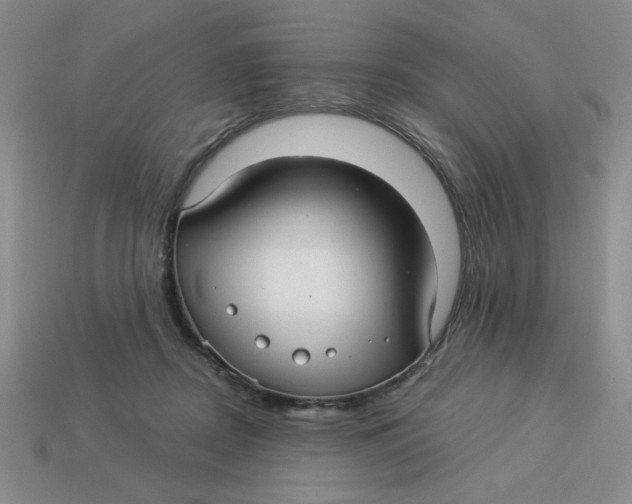 X0000113340362200910131223