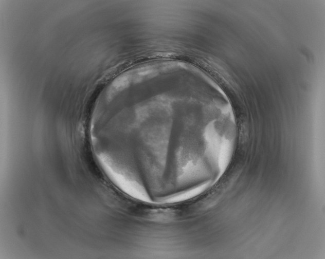 X0000113340363200910131223