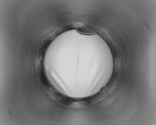X0000113340364200910131223