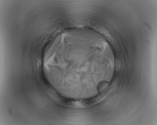 X0000113340365200910131223