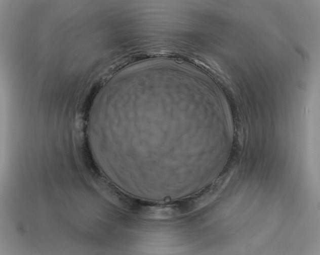 X0000113340366200910131223