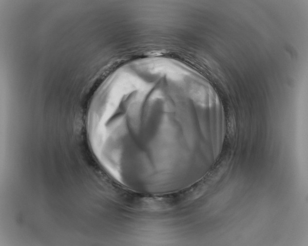 X0000113340367200910131223