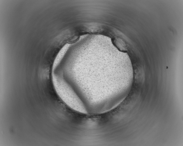 X0000113340368200910131223