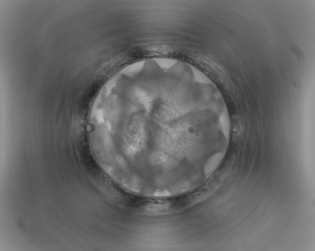 X0000113340369200910131223