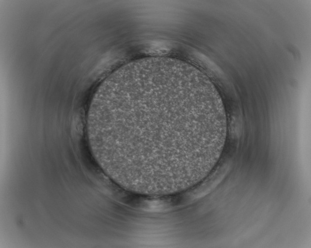 X0000113340370200910131223