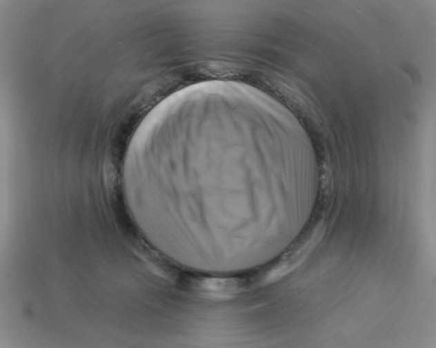 X0000113340371200910131223