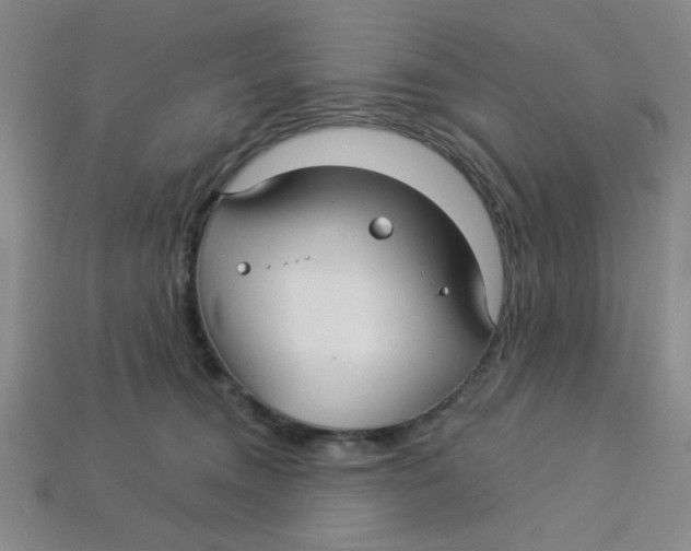 X0000113340372200910131223