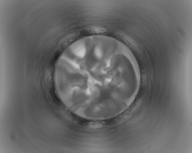 X0000113340373200910131223