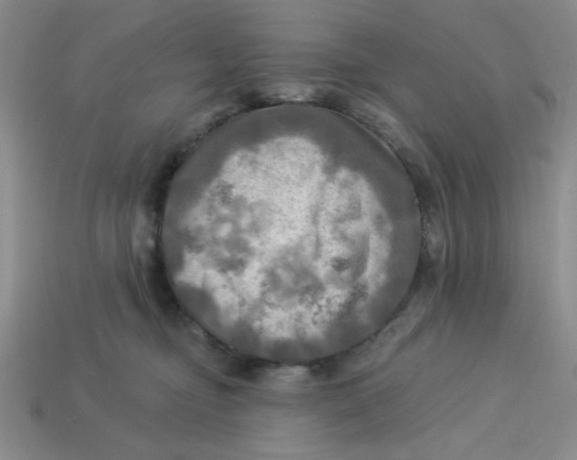 X0000113340374200910131223