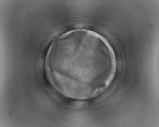 X0000113340375200910131223