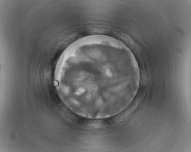 X0000113340377200910131223