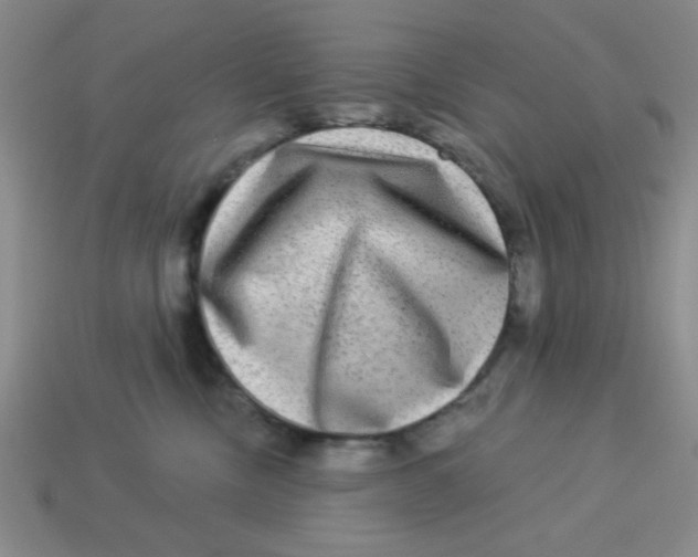 X0000113340378200910131223
