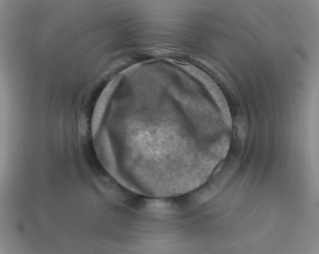 X0000113340380200910131223