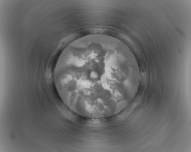 X0000113340381200910131223