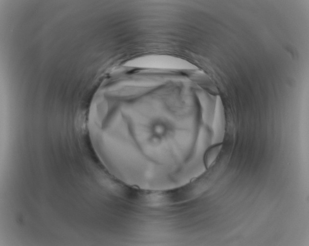 X0000113340383200910131223