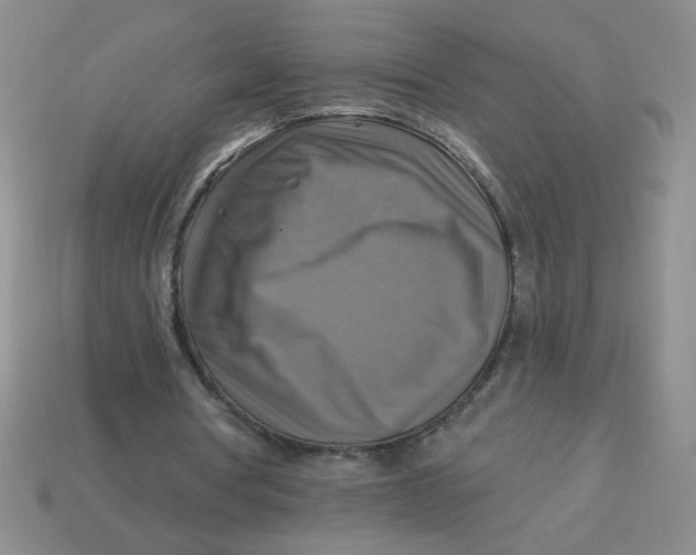 X0000113340386200910131223