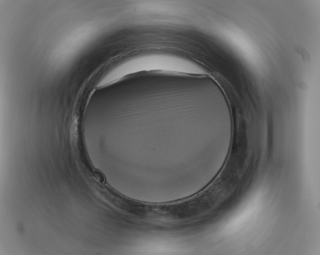 X0000113340387200910131223
